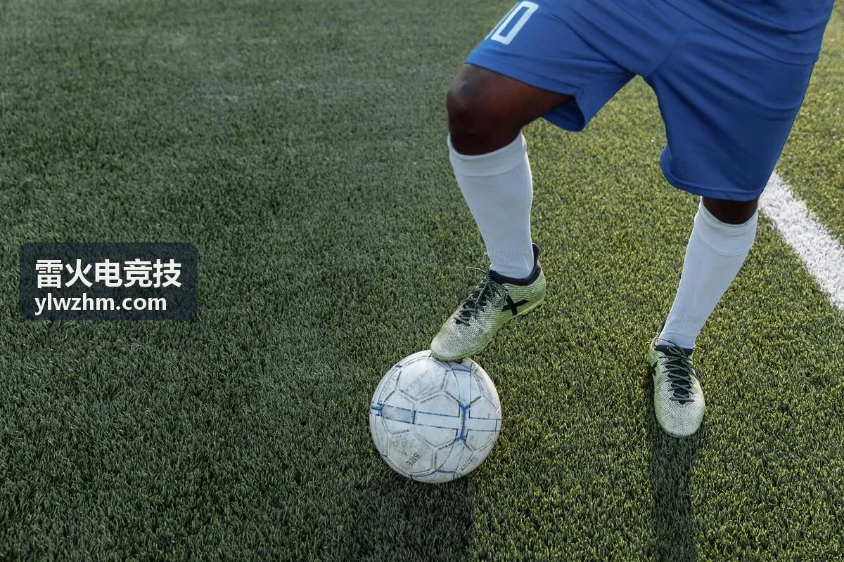 职业战队使用雷火电竞技训练