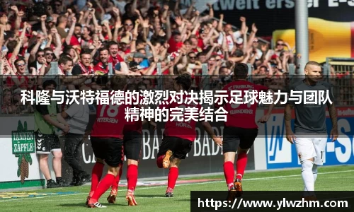 jn江南·体育登录入口