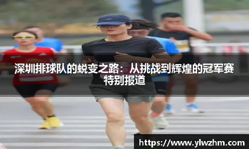 jn江南·体育登录入口