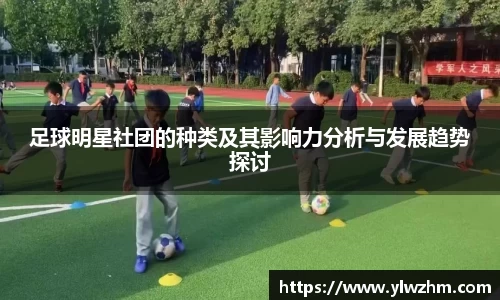 足球明星社团的种类及其影响力分析与发展趋势探讨